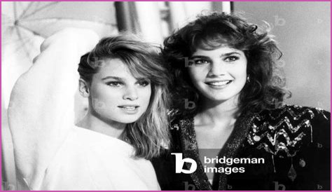 All About Nicollette Sheridan: A Television Icon